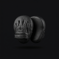 Punch Focus Mitts on onyx background