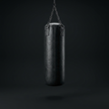 Heavy Punching Bag on onyx background